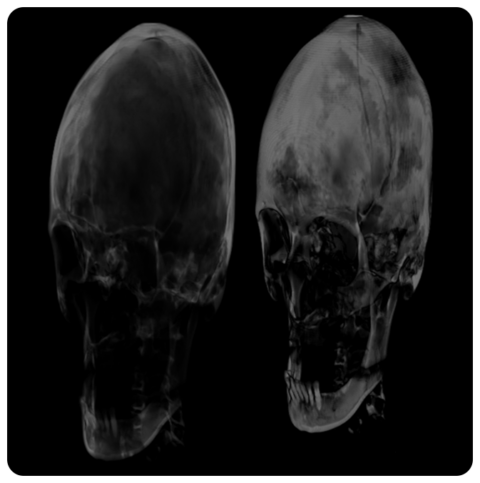 Volume Rendering For Visualizing Volume Models